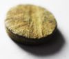 Picture of ROMAN BRONZE WEIGHT. 2 NUMISMATA.8.3 GM, WITH NB WITHIN WREATH