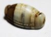 Picture of ANCIENT EGYPT. AGATE SCARABOID. NEW KINGDOM. 1400   B.C