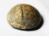 Picture of ANCIENT DOME SHAPED LEAD WEIGHT? ROMAN ERA