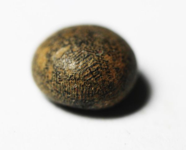 Picture of ANCIENT JUDAEAN. DOME SHAPED BRONZE WEIGHT. 600 B.C