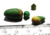 Picture of ANCIENT EGYPT.  ROMAN GLASS BEADS. 100 - 200 A.D