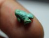 Picture of ANCIENT EGYPT, NEW KINGDOM FAIENCE FROG. 14TH CENTURY BC .