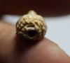 Picture of ANCIENT EGYPT. Nubian or Upper Egyptian head / Bead.   Pre-dynastic 3500-3000 BC