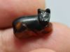 Picture of ANCIENT EGYPT. NEW KINGDOM STONE CAT .13TH CENTURY B.C
