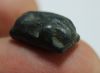 Picture of ANCIENT EGYPT.  GLASS EYE OF HORUS INLAY.  1200 B.C. NEW KINGDOM