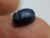 Picture of ANCIENT EGYPT. RARE NEW KINGDOM GLASS SCARAB 13TH CENTURY B.C.  RAMESSIDE ERA