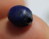 Picture of ANCIENT EGYPT. RARE NEW KINGDOM GLASS SCARAB 13TH CENTURY B.C.  RAMESSIDE ERA