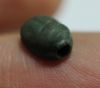 Picture of ANCIENT EGYPT. RARE NEW KINGDOM FAIENCE SCARAB 13TH CENTURY B.C.  