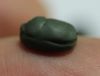 Picture of ANCIENT EGYPT. RARE NEW KINGDOM FAIENCE SCARAB 13TH CENTURY B.C.  