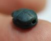 Picture of ANCIENT EGYPT.  NEW KINGDOM EGYPTIAN BLUE FAIENCE SCARAB .13TH CEN. B.C