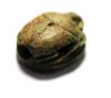 Picture of ANCIENT EGYPT. STONE SCARAB. NEW KINGDOM . 1400 B.C
