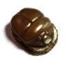 Picture of ANCIENT EGYPT. NEW KINGDOM STONE SCARAB.  1300 B.C  LOTUS FLOWERS