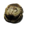 Picture of UNAS: ANCIENT EGYPT. STONE SCARAB. NEW KINGDOM. 15th Century  B.C