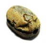 Picture of ANCIENT EGYPT. STONE SCARAB. NEW KINGDOM. 15th Century  B.C