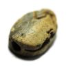 Picture of ANCIENT EGYPT. STONE SCARAB. NEW KINGDOM. 15th Century  B.C