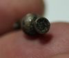Picture of ANCIENT EGYPT , NEW KINGDOM ELECTRUM POPPY SEED AMULET.  1250 B.C