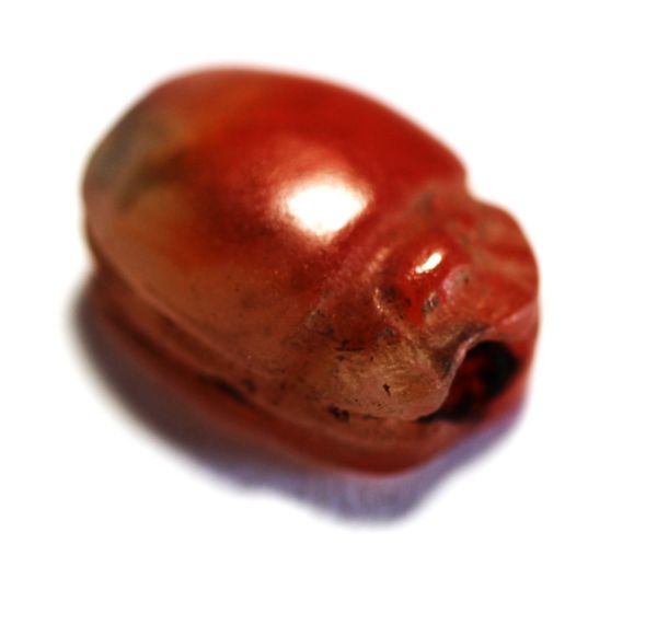 Picture of ANCIENT EGYPT. CARNELIAN SCARAB. 1250 B.C. NEW KINGDOM