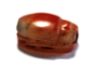 Picture of ANCIENT EGYPT. CARNELIAN SCARAB. 1250 B.C. NEW KINGDOM