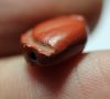 Picture of ANCIENT EGYPT. RED JASPER SEA SHELL AMULET. 1250 B.C