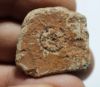 Picture of ZURQIEH - AD13991- ANCIENT ROMAN LEAD WEIGHT?. 400 A.D