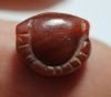 Picture of ANCIENT EGYPT. CARNELIAN SEA SHELL AMULET. 1250 B.C