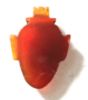 Picture of ANCIENT EGYPT.  EX. RARE CARNELIAN HEART AMULET ENGRAVED WITH A BEETLE. 1250 B.C