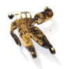 Picture of ANCIENT EGYPT. GOLD & STONE BEE AMULET . 1250 B.C