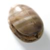 Picture of ANCIENT EGYPT.  NEW KINGDOM AGATE STONE SCARAB. 1250 B.C