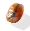 Picture of ANCIENT EGYPT. CARNELIAN STONE SCARAB. 1250 B.C