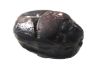 Picture of ANCIENT EGYPT.  STONE SCARAB. 1250 B.C  RAMISSES II ERA