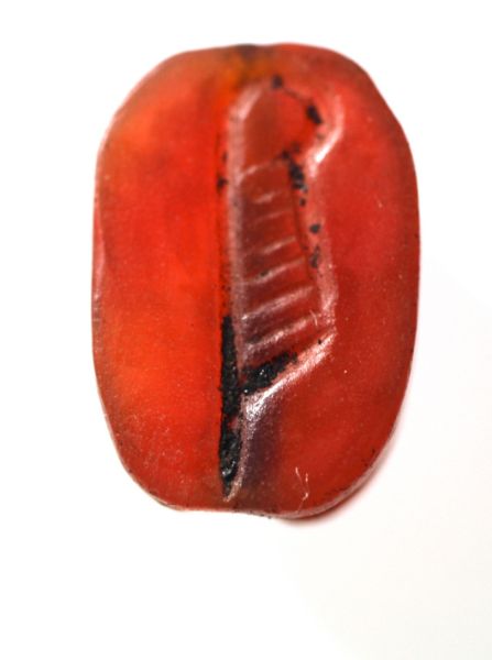 Picture of ANCIENT EGYPT.  NEW KINGDOM CARNELIAN SCARAB. 1400 - 1200 B.C