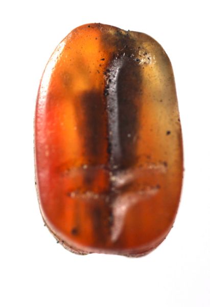 Picture of ANCIENT EGYPT.  NEW KINGDOM CARNELIAN SCARAB. 1400 - 1200 B.C