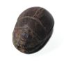 Picture of ANCIENT EGYPT.  NEW KINGDOM STONE SCARAB. 1400 - 1200 B.C