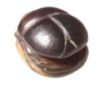 Picture of ANCIENT EGYPT.  NEW KINGDOM STONE SCARAB. 1400 - 1200 B.C