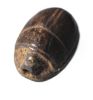 Picture of ANCIENT EGYPT.  NEW KINGDOM STONE SCARAB. 1400 - 1200 B.C