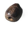 Picture of ANCIENT EGYPT.  NEW KINGDOM STONE SCARAB. 1400 - 1200 B.C