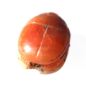 Picture of ANCIENT EGYPT.  NEW KINGDOM CARNELIAN SCARAB. 1400 - 1200 B.C