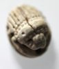 Picture of   ANCIENT JORDAN. FAIENCE SCARAB. 600.- 300 B.C