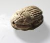 Picture of   ANCIENT JORDAN. FAIENCE SCARAB. 600.- 300 B.C