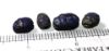 Picture of ANCIENT EGYPT . LOT OF 4 LAPIS LAZULI STONE SCARABS. 1200 B.C  NEW KINGDOM