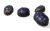 Picture of ANCIENT EGYPT . LOT OF 4 LAPIS LAZULI STONE SCARABS. 1200 B.C  NEW KINGDOM