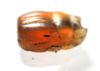 Picture of ANCIENT EGYPT -  BEAUTIFUL CARNELIAN STONE SCARAB. NEW KINGDOM .1400 B.C. 