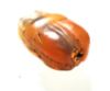 Picture of ANCIENT EGYPT -  BEAUTIFUL CARNELIAN STONE SCARAB. NEW KINGDOM .1400 B.C. 