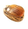 Picture of ANCIENT EGYPT -  BEAUTIFUL CARNELIAN STONE SCARAB. NEW KINGDOM .1400 B.C. 