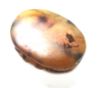 Picture of ANCIENT EGYPT. NEW KINGDOM. CARNELIAN STONE SCARAB. 1300 B.C