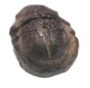 Picture of ANCIENT EGYPT. NEW KINGDOM.  STONE SCARAB. 1300 B.C