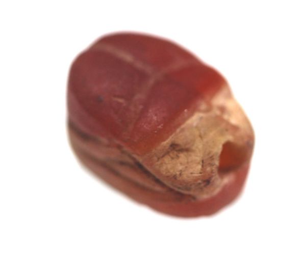 Picture of ANCIENT EGYPT. NEW KINGDOM. CARNELIAN STONE SCARAB. 1300 B.C