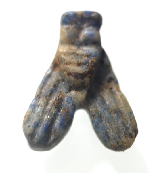 Picture of ANCIENT EGYPT. NEW KINGDOM. LAPIS LAZULI FLY AMULET. 1300 B.C