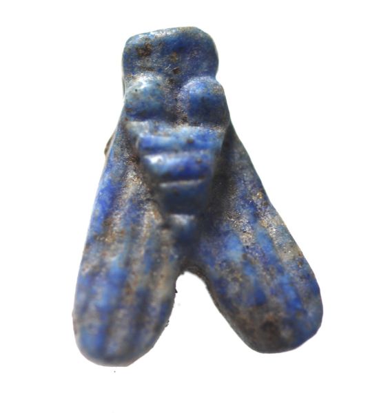 Picture of ANCIENT EGYPT. NEW KINGDOM. LAPIS LAZULI FLY AMULET. 1300 B.C