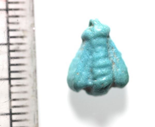 Picture of ANCIENT EGYPT. AMARNA FAIENCE FLY AMULET. TIME OF KING TUTANKHAMUN. 13TH CENTURY B.C